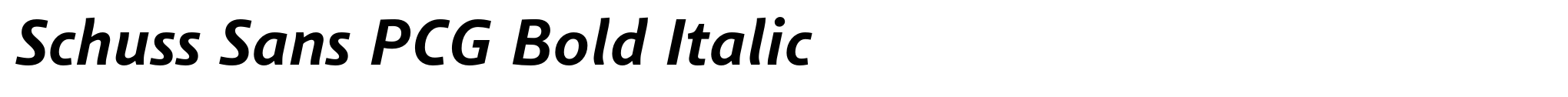 Schuss Sans PCG Bold Italic image
